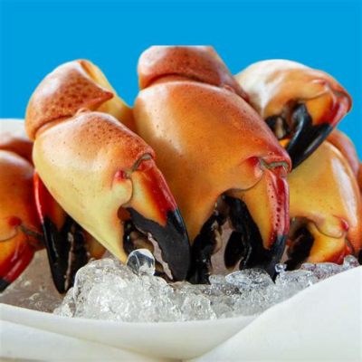  Florida Stone Crab A Crustacean Delicacy Hiding Beneath the Ocean Floor